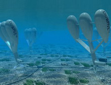 железные водоросли и хвосты впитывают энергию океана